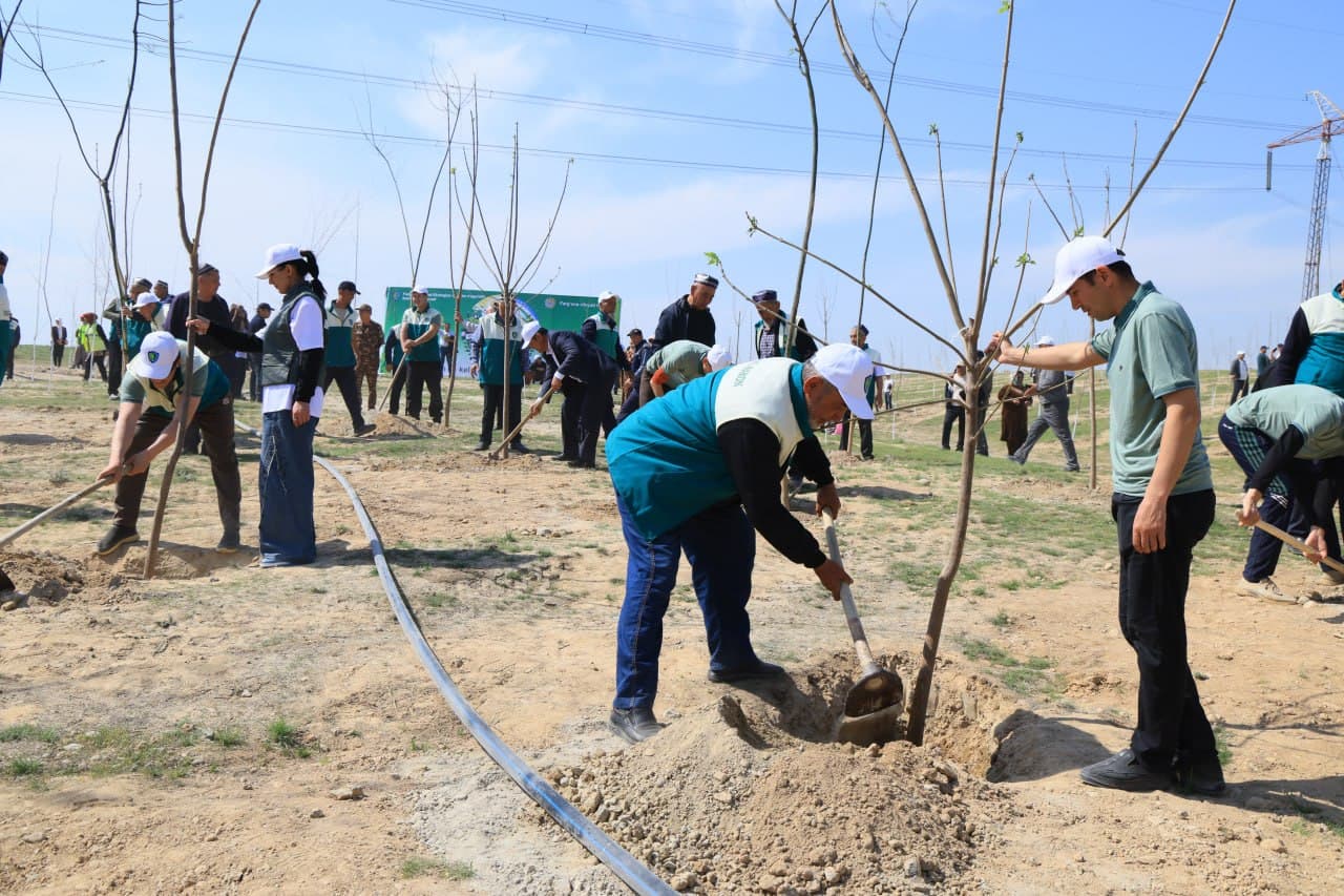 Every Tree Planted with Good Intent is Life, Clean Air, a Healthy Environment, and the Future