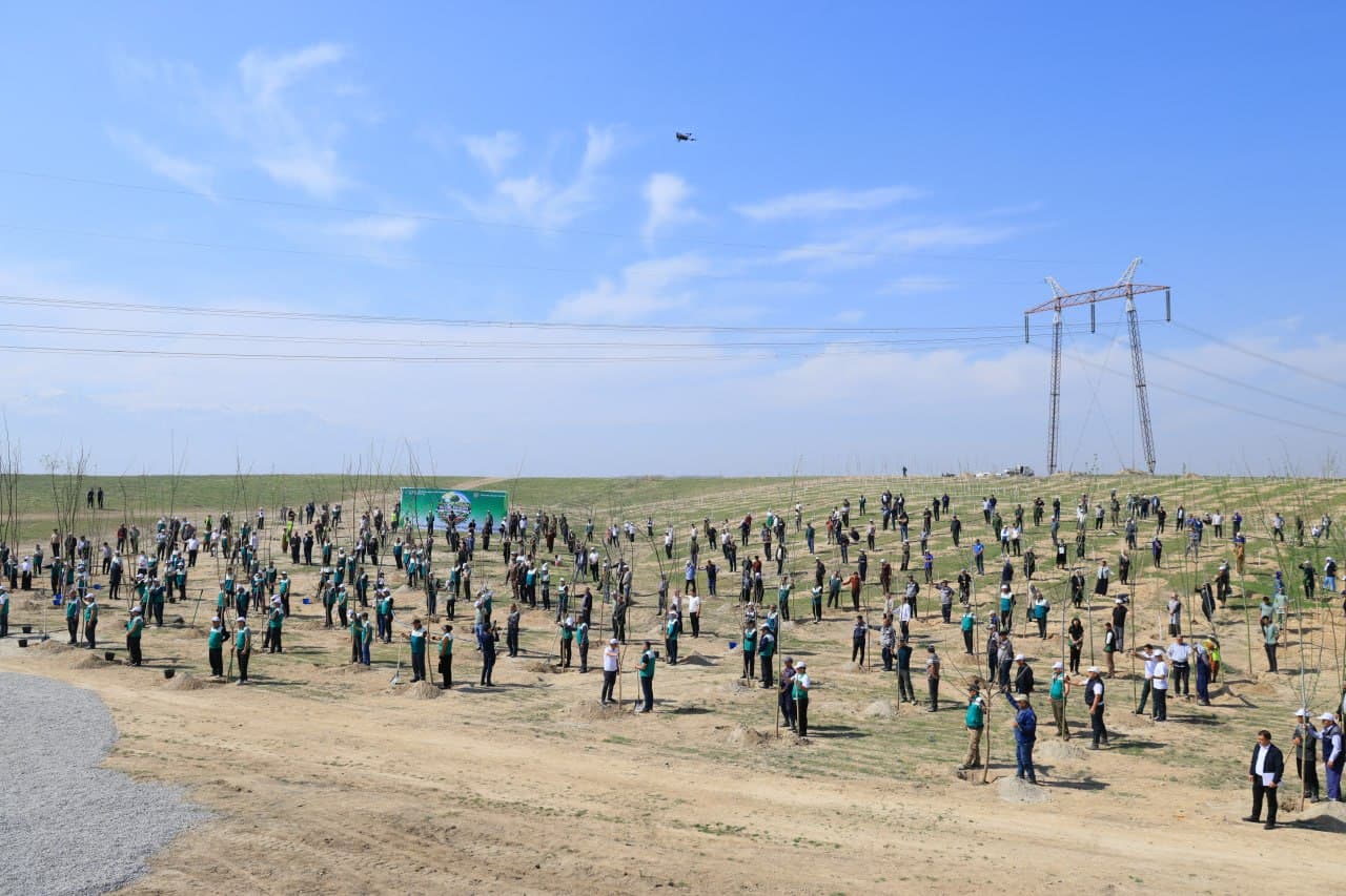 Every Tree Planted with Good Intent is Life, Clean Air, a Healthy Environment, and the Future