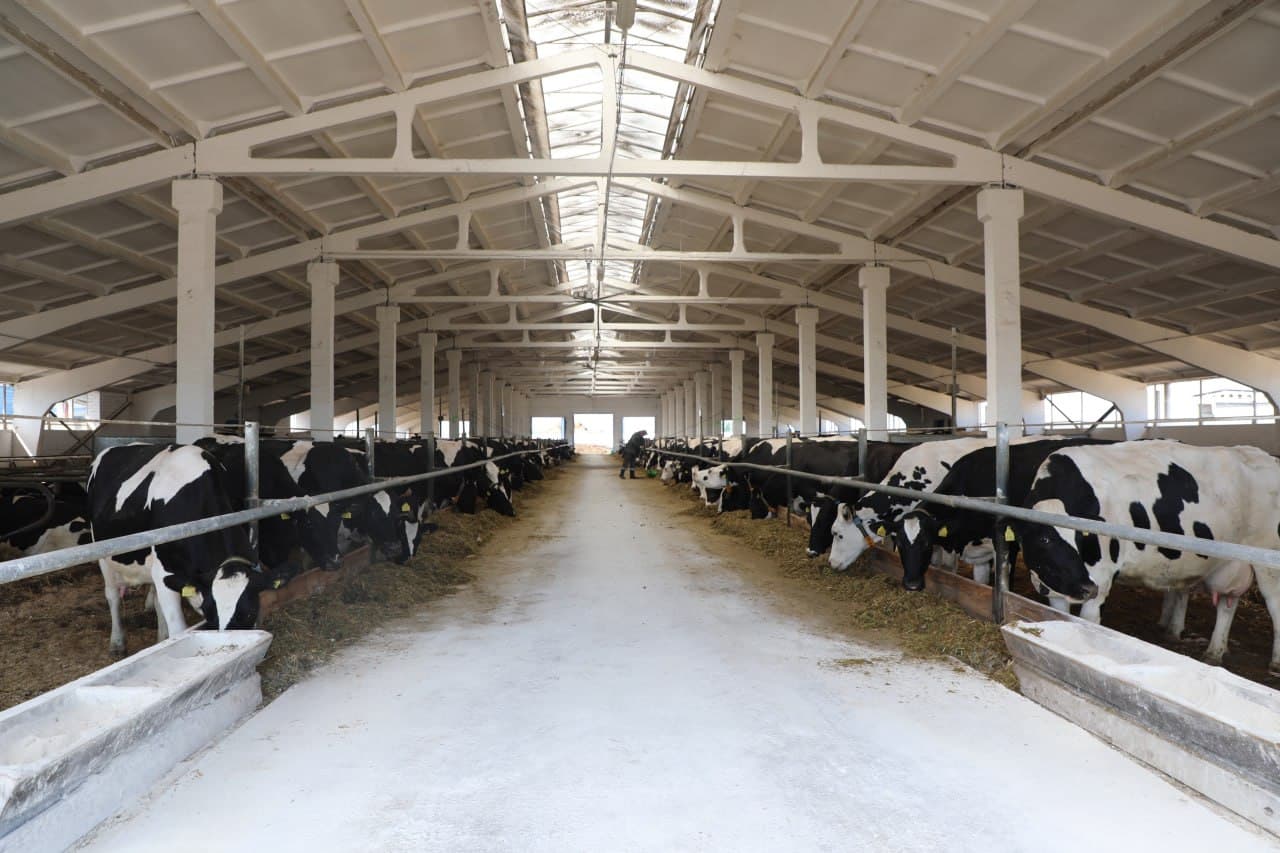 Fergana Delegation Studies Belarus' Advanced Livestock Practices