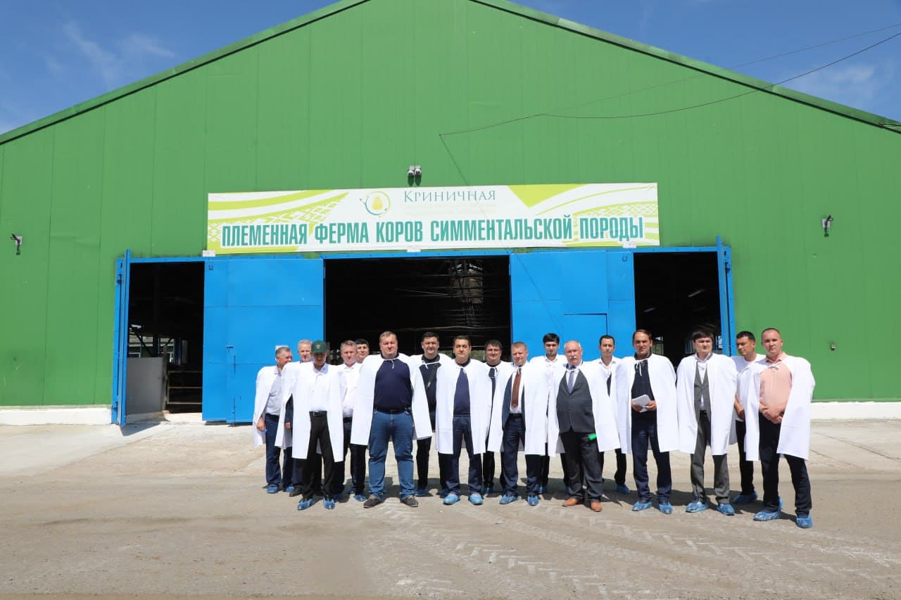 Fergana Delegation Studies Belarus' Advanced Livestock Practices