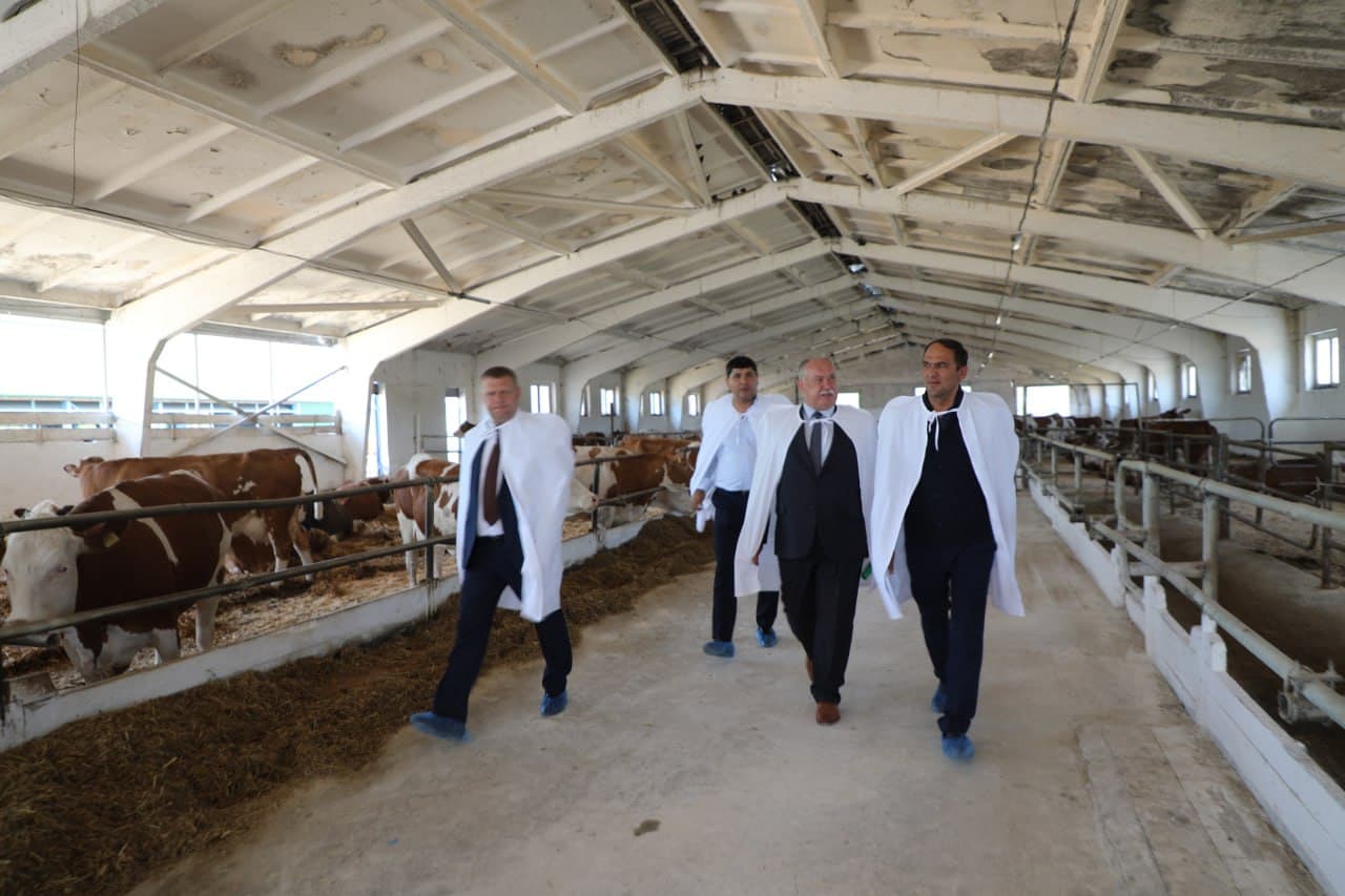 Fergana Delegation Studies Belarus' Advanced Livestock Practices