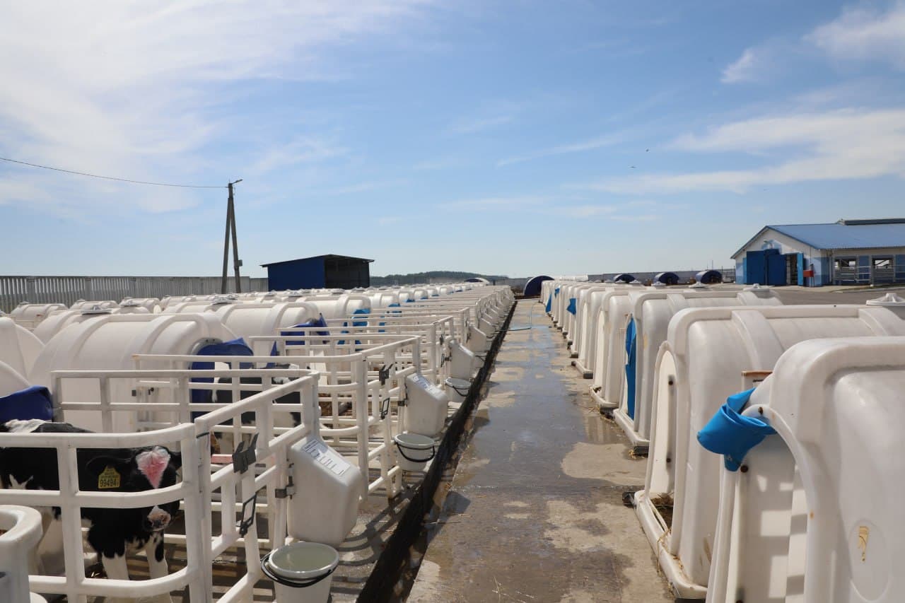 Fergana Delegation Studies Belarus' Advanced Livestock Practices
