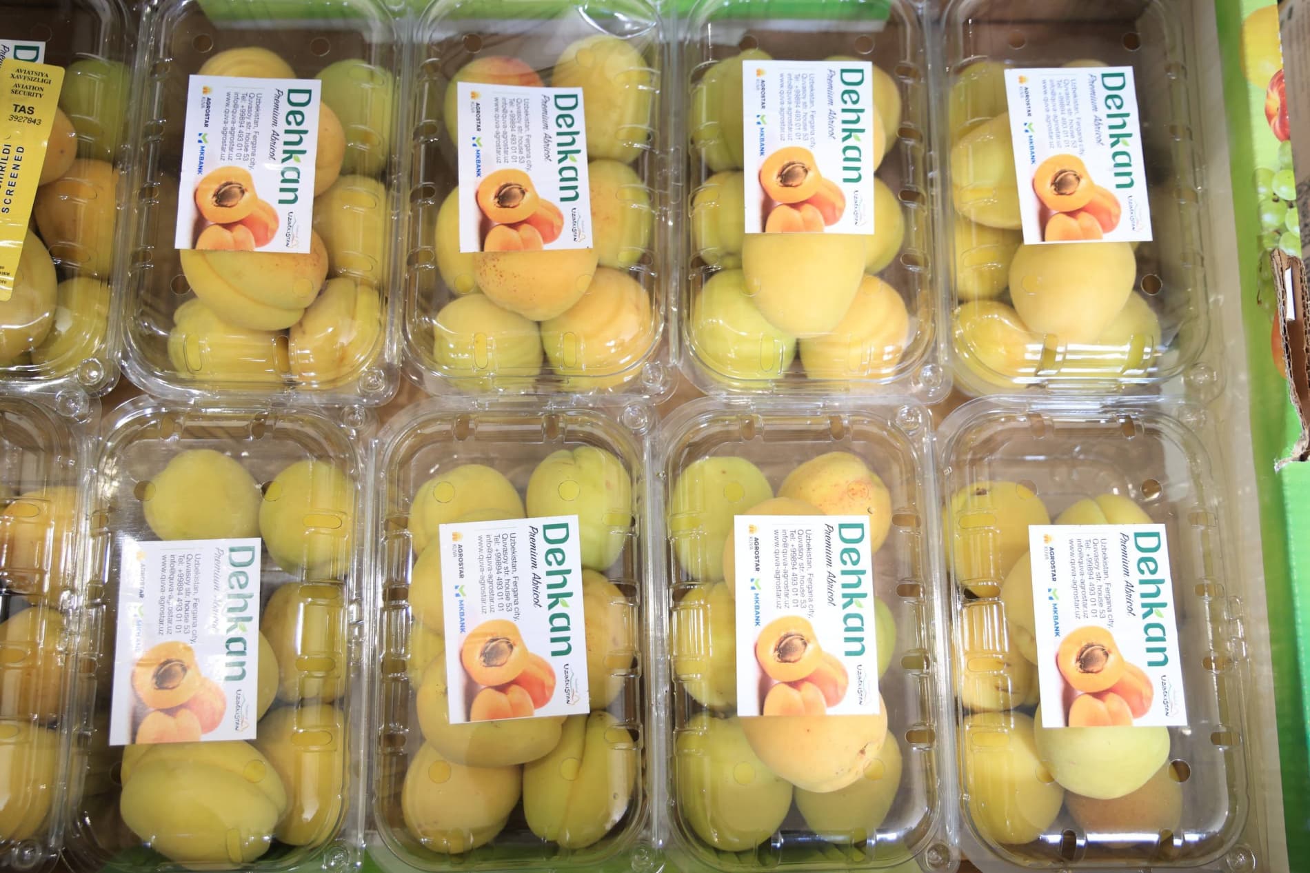 Cherries grown in the Fergana region, as well as apricots and peaches for the first time ever, have been introduced to the Malaysian market.