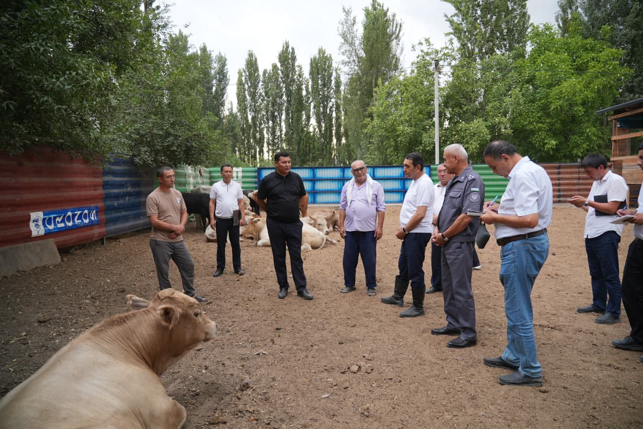 Regional Governor Khayrullo Bozorov visited the mahallas of Uchkuprik district and closely reviewed the implementation of key driver sectors being developed there.