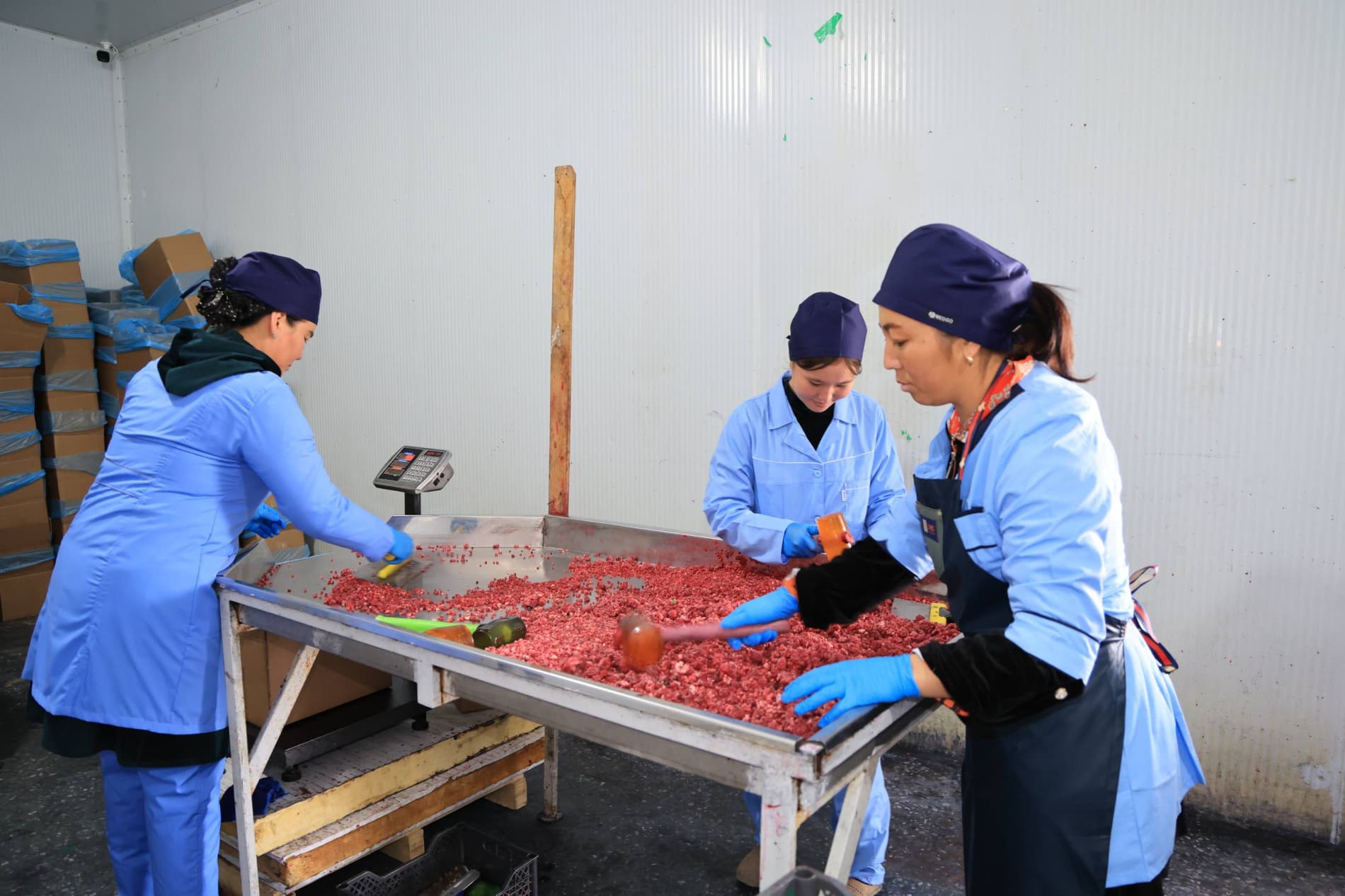 Расширяются возможности по хранению и переработке плодоовощной продукции