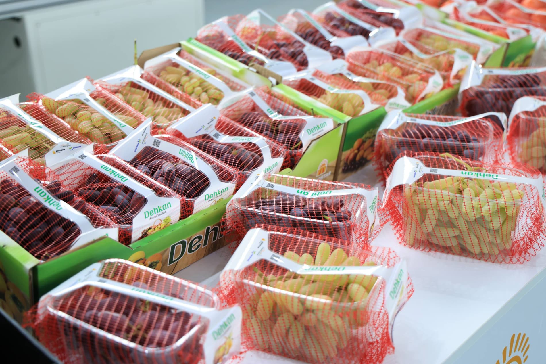 Продукция сельского хозяйства Ферганы пользуется высоким спросом на российском рынке