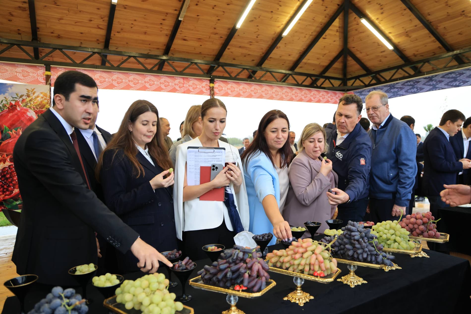 Modern Agricultural Technologies Applied in Viticulture
