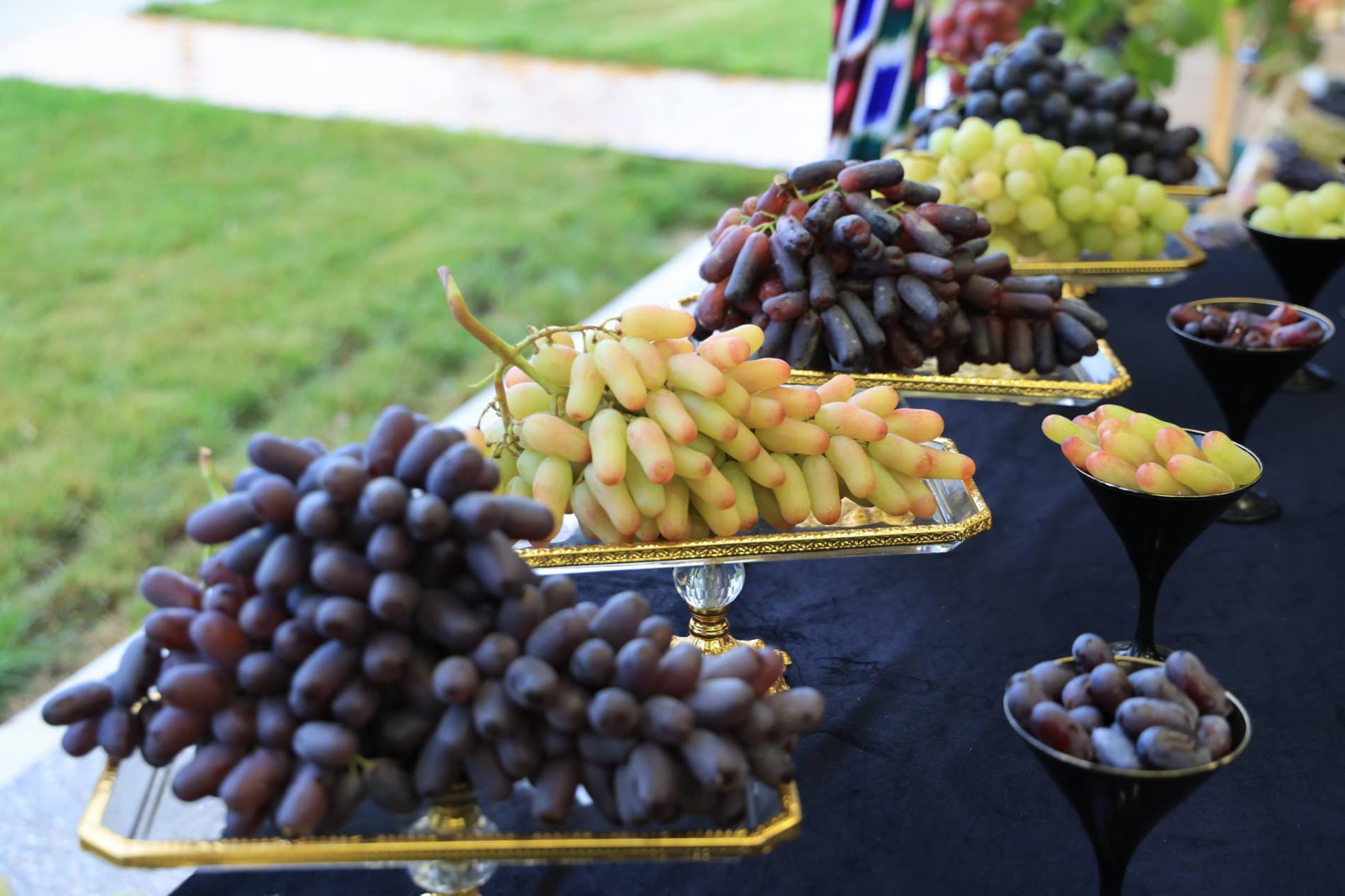 Modern Agricultural Technologies Applied in Viticulture