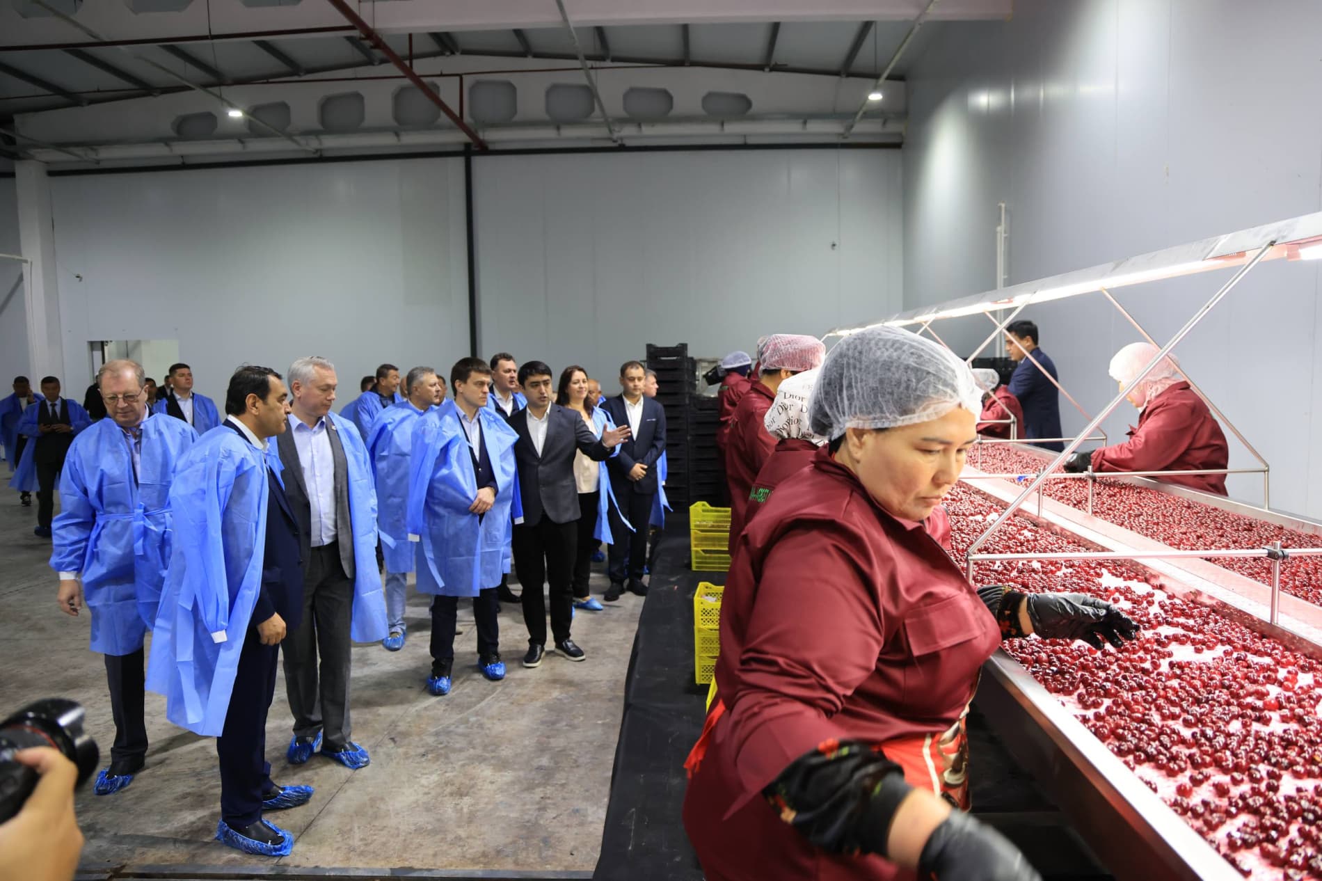 Продукция сельского хозяйства Ферганы пользуется высоким спросом на российском рынке