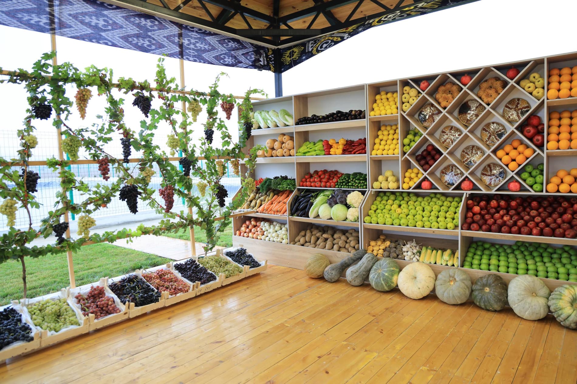 Modern Agricultural Technologies Applied in Viticulture