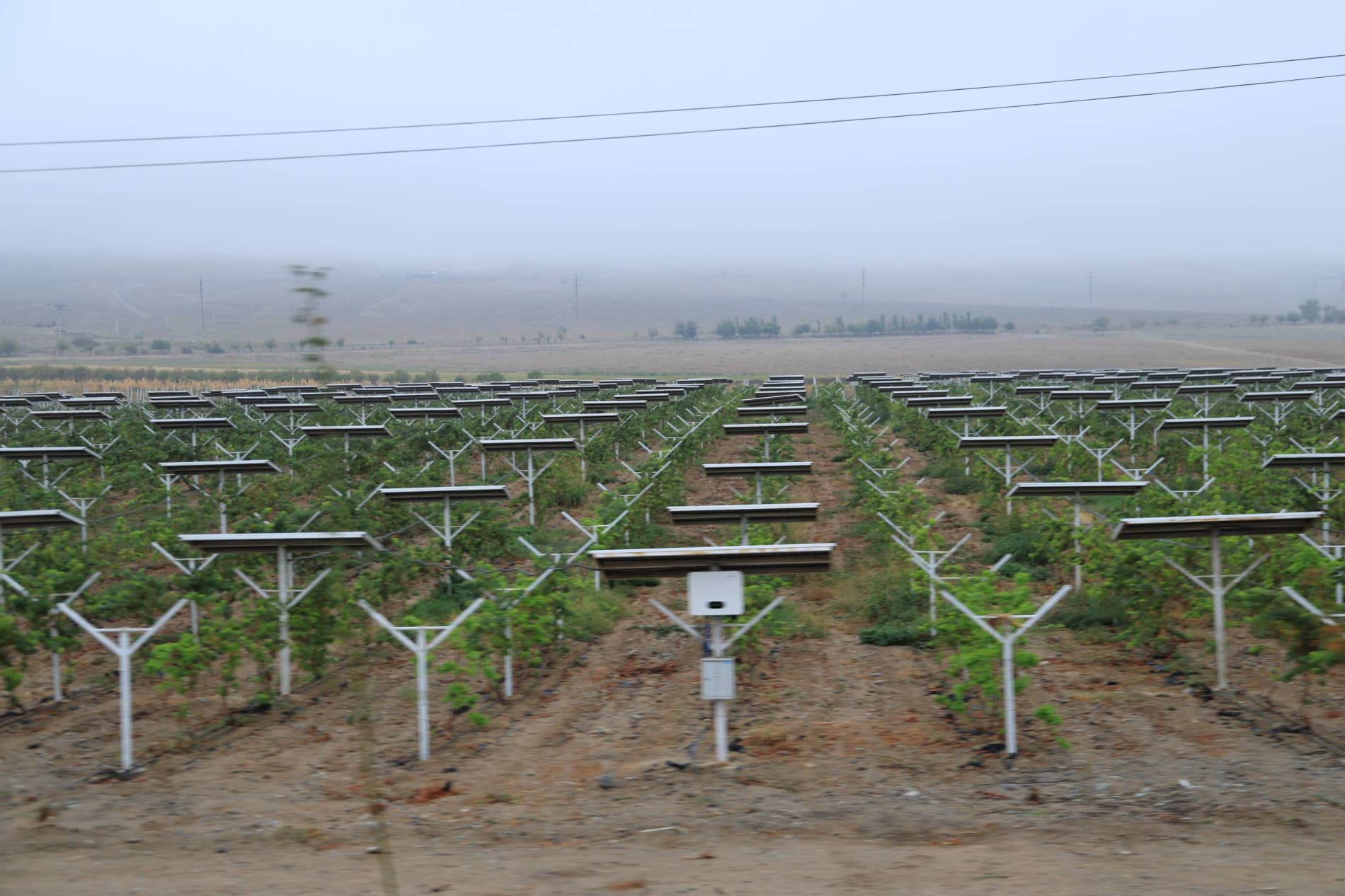 Modern Agricultural Technologies Applied in Viticulture