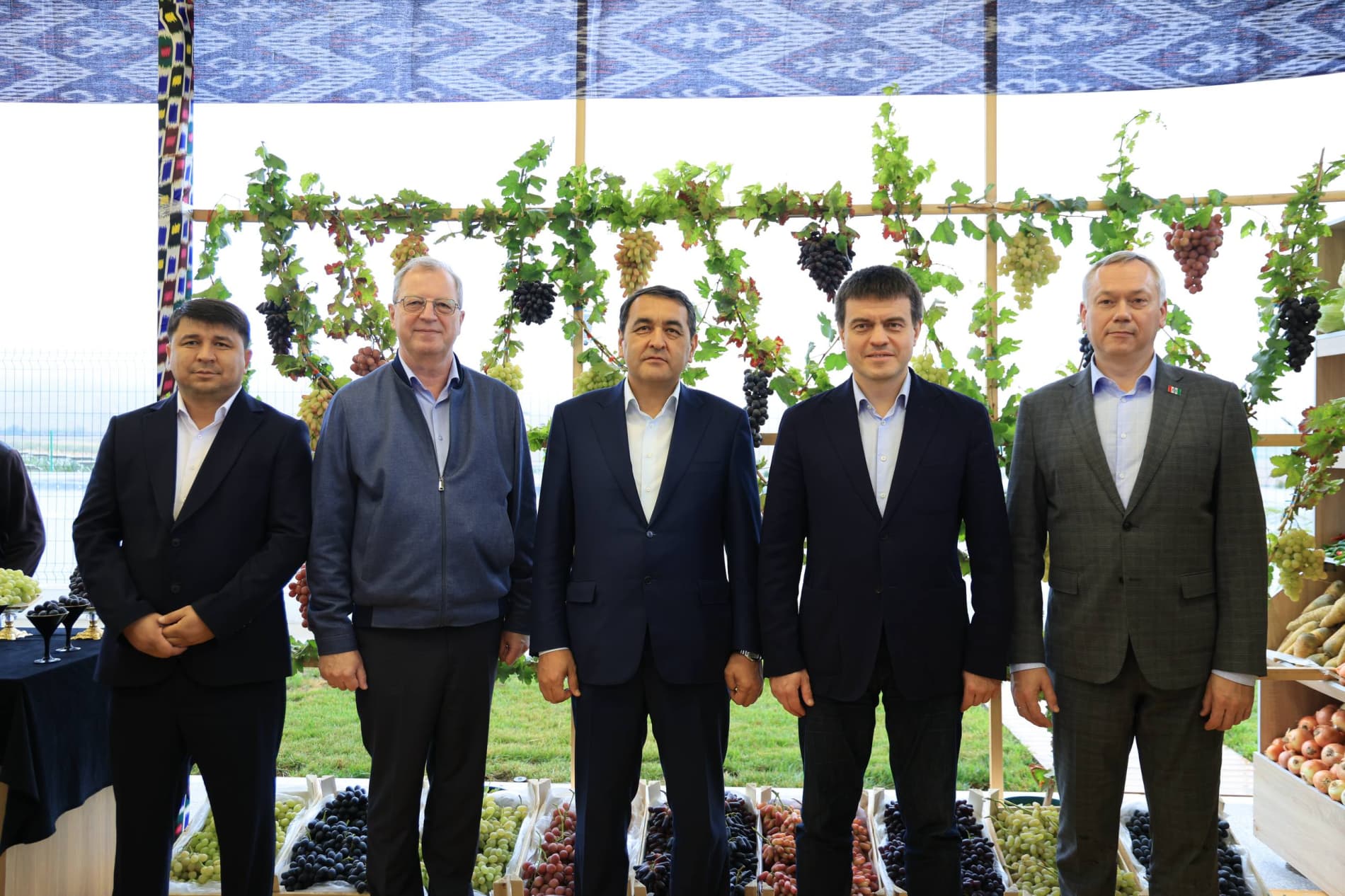 Modern Agricultural Technologies Applied in Viticulture