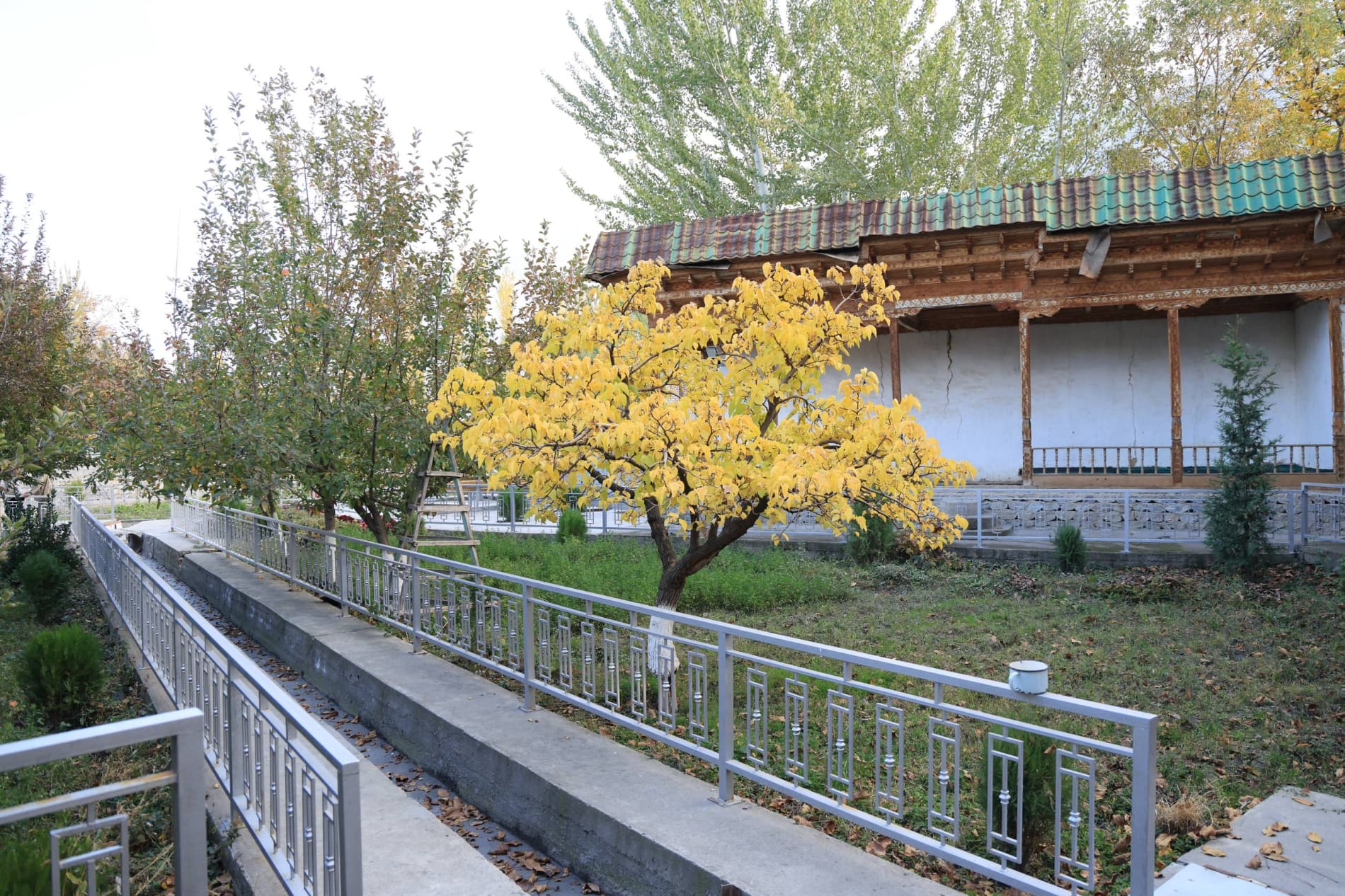 Sebzor Mahalla Is Being Transformed Under the “Mahalla in the Image of New Uzbekistan” Initiative
