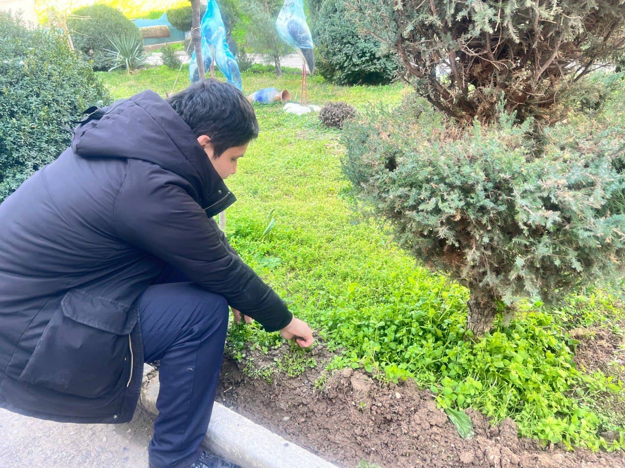 O‘zbekiston Milliy arxivida “Yurt obodligi, avvalo, mahalladan boshlanadi” shiori ostida umumxalq hashari o‘tkazildi.