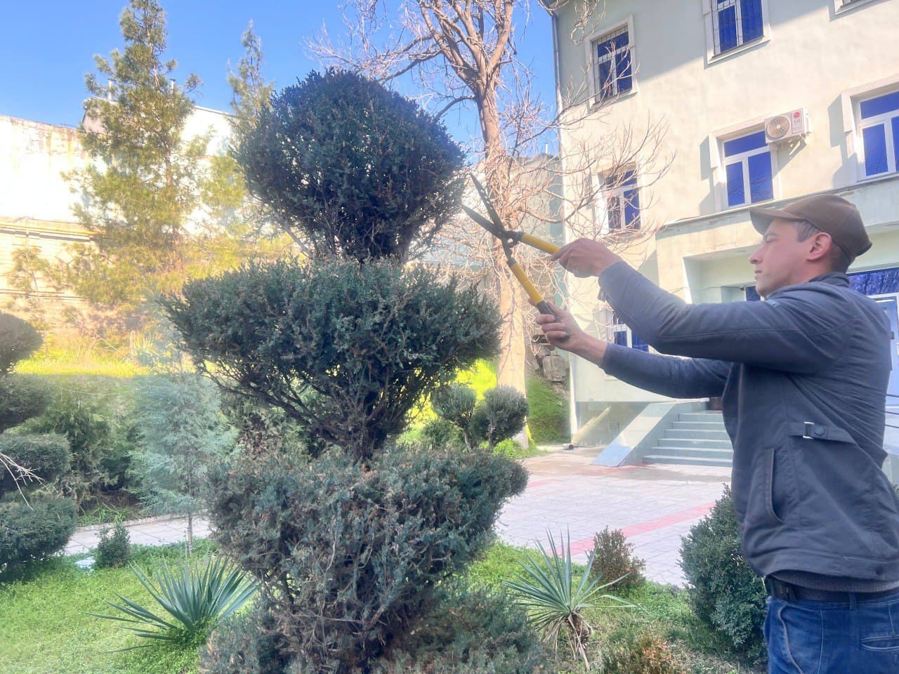 O‘zbekiston Milliy arxivida “Yurt obodligi, avvalo, mahalladan boshlanadi” shiori ostida umumxalq hashari o‘tkazildi.