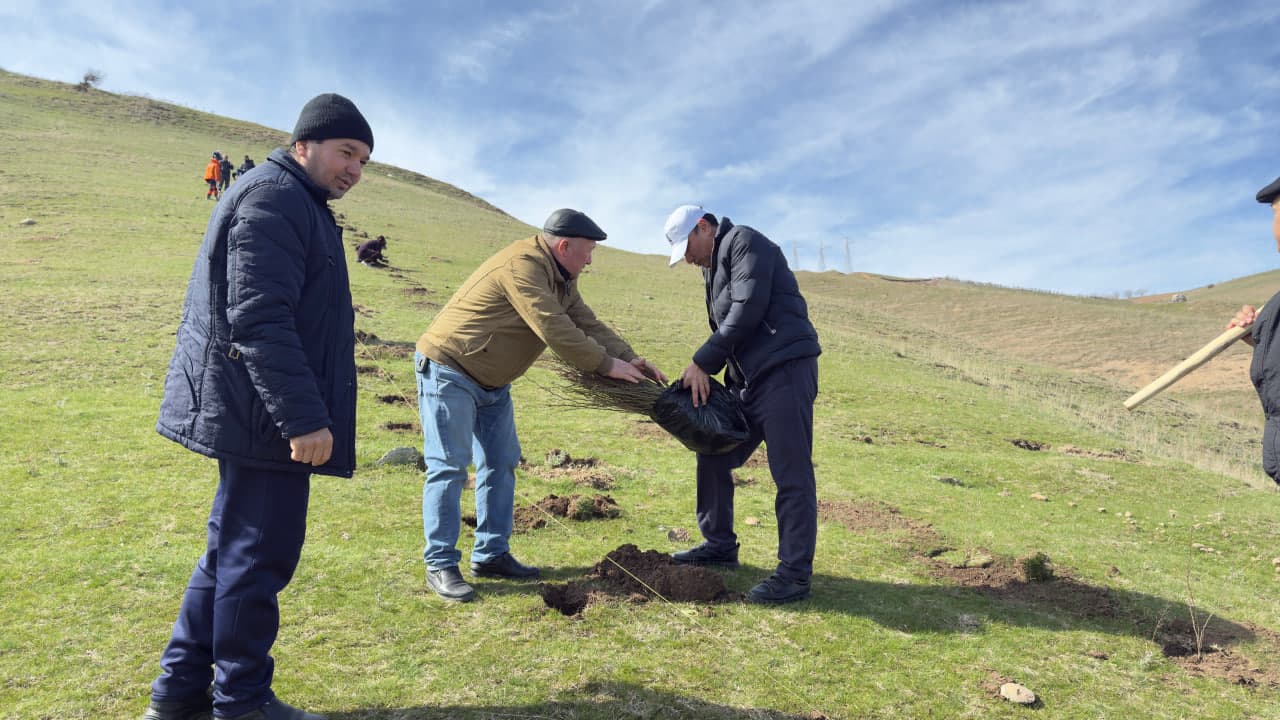 “O‘zarxiv” agentligi jamoasi "Yurt obodligi, avvalo, mahalladan boshlanadi!" shiori ostida umumxalq hasharida faol ishtirok etmoqda