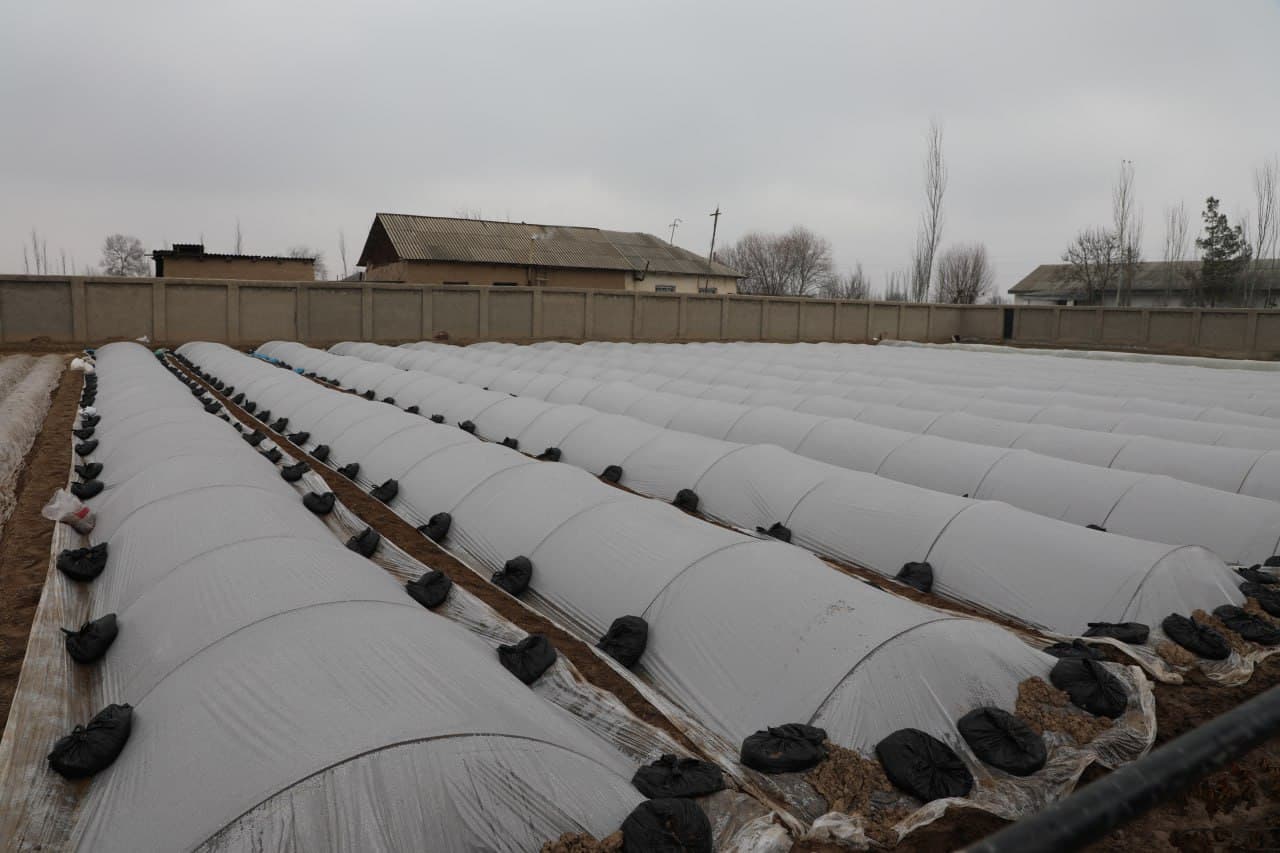 Камбағалликни қисқартириш ва бандлик вазири Ботир Захидов бошчилигидаги ишчи гуруҳ Қашқадарё вилоятида