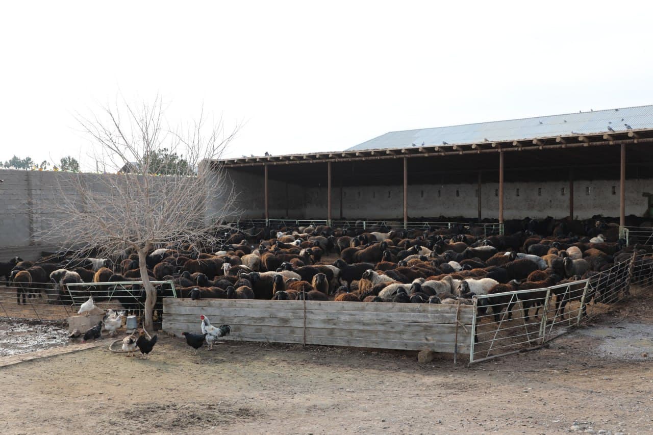 Камбағалликни қисқартириш ва бандлик вазири Ботир Захидов бошчилигидаги ишчи гуруҳ Қашқадарё вилоятида