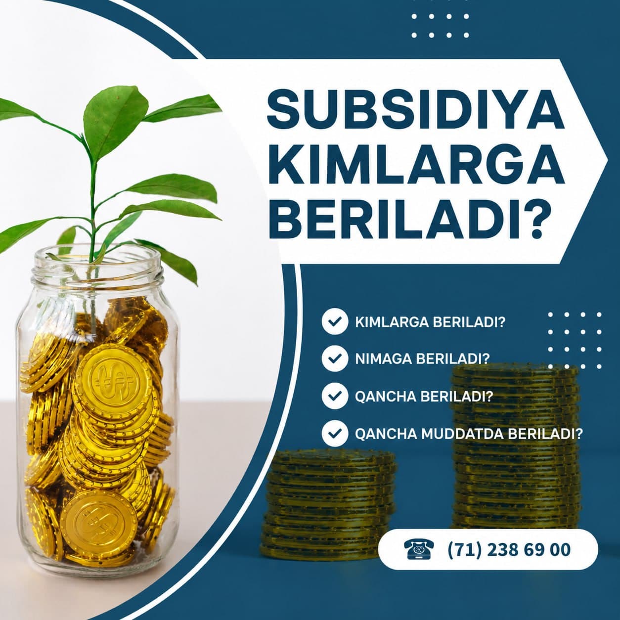 Subsidiya kimlarga beriladi?