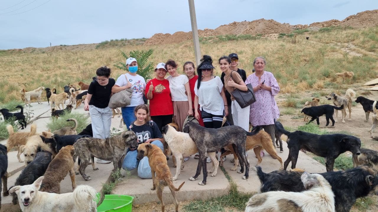 Qarovsiz hayvonlarga yangi “Hayot”