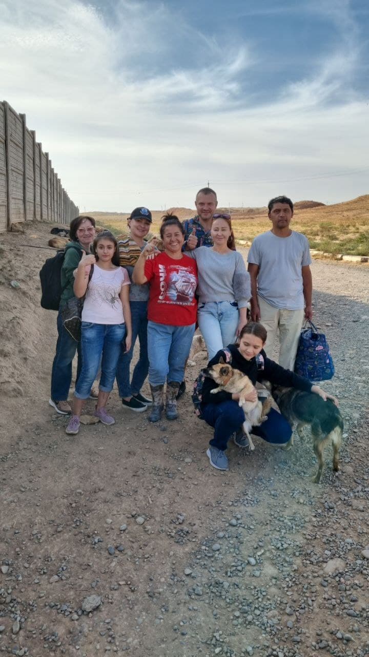 Qarovsiz hayvonlarga yangi “Hayot”