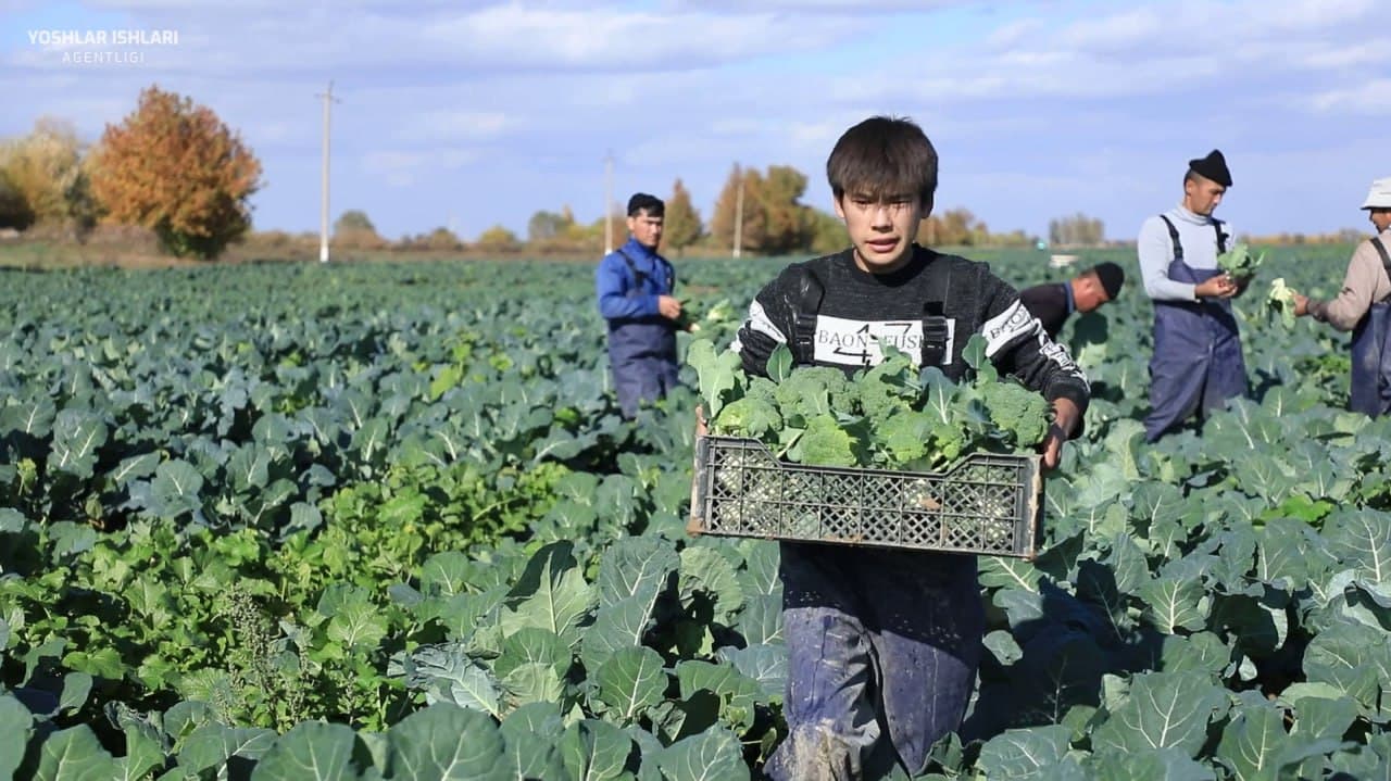 Баракали ерда – баракали ҳосил!