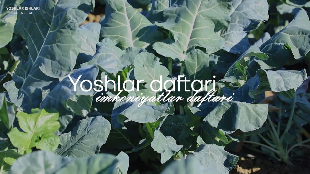 Баракали ерда – баракали ҳосил!