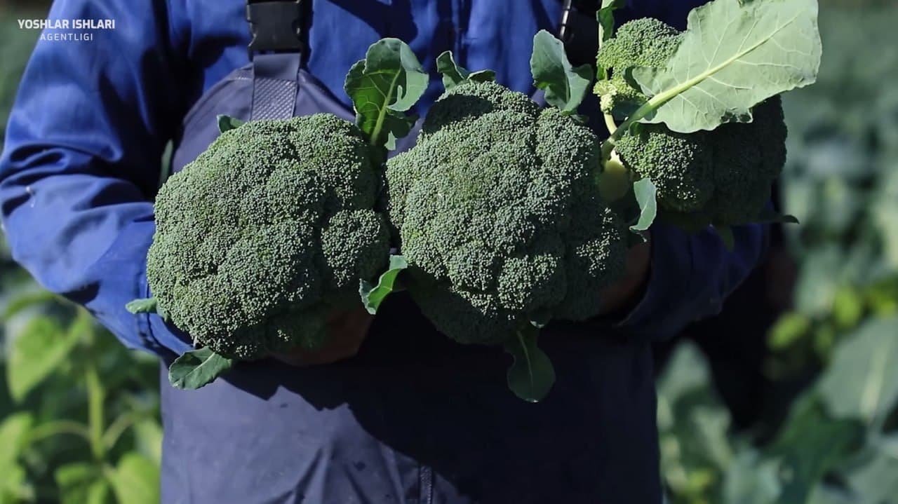 Баракали ерда – баракали ҳосил!