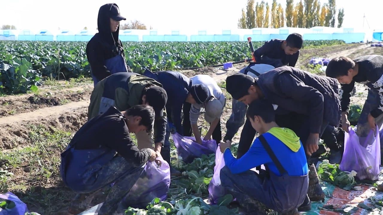 Баракали ерда – баракали ҳосил!