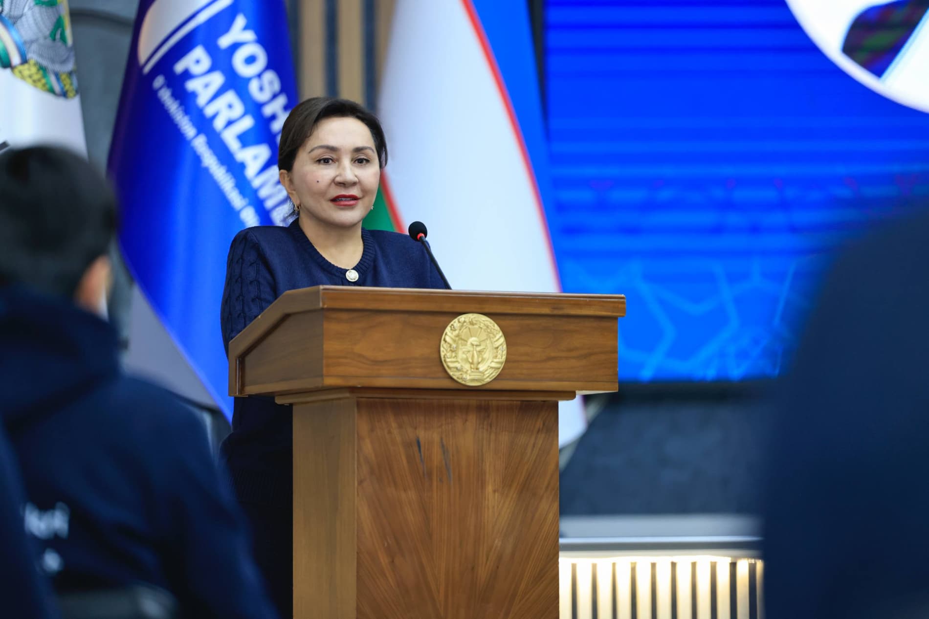 Youth Parliament: New Ideas, Political Will, and an Open Space for Dialogue