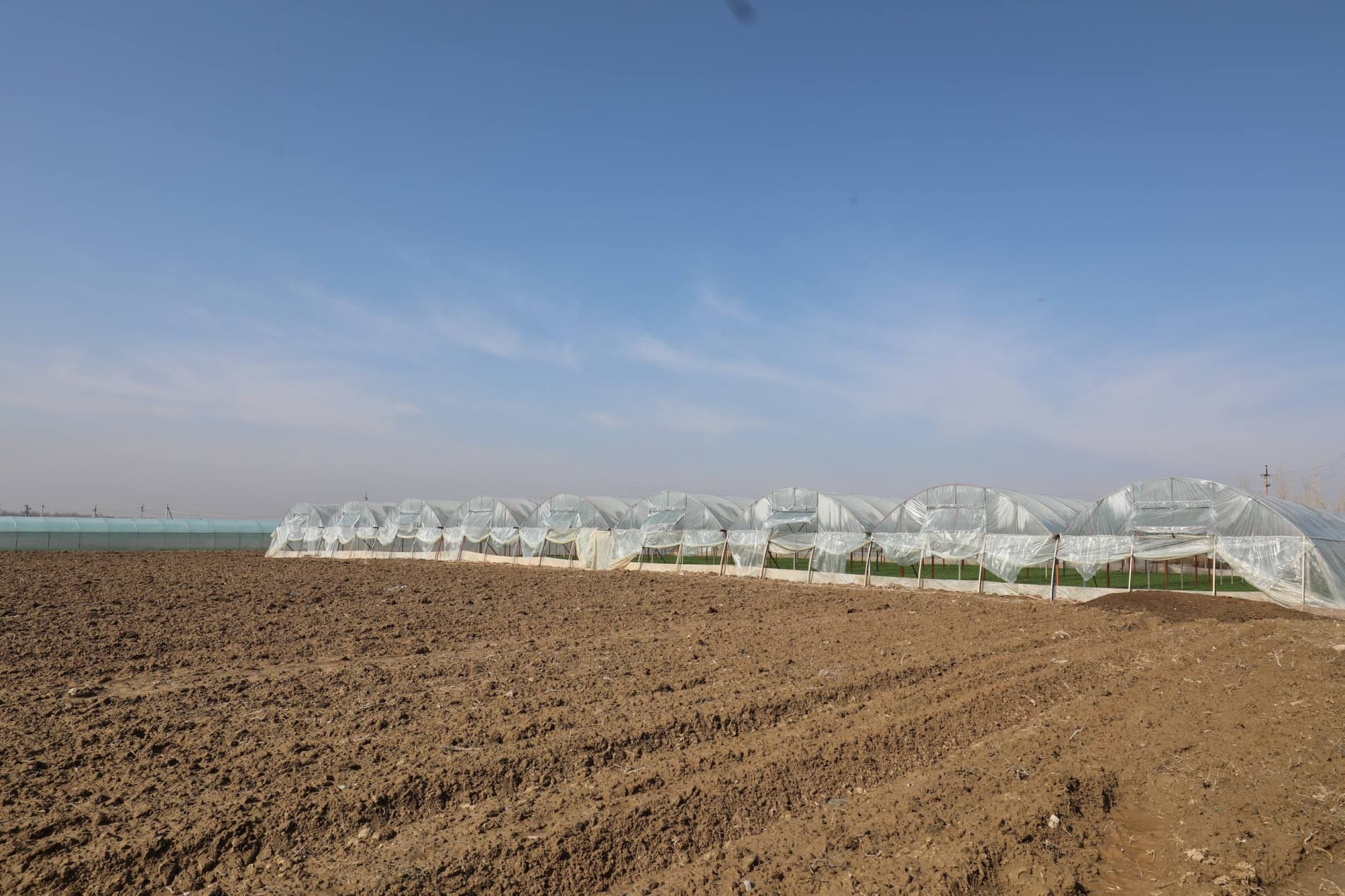 Youth opportunities and problems are being studied in Tashkent region