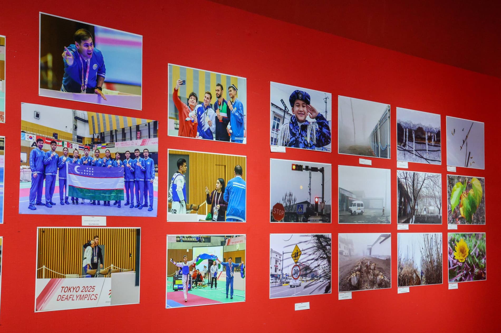 Foto ko‘rgazmaga taklif etamiz!