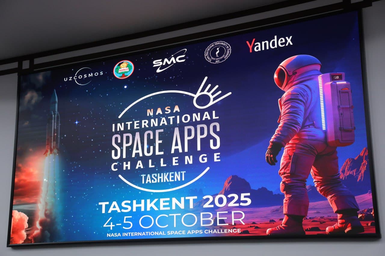 NASA Space Apps Challenge 2025