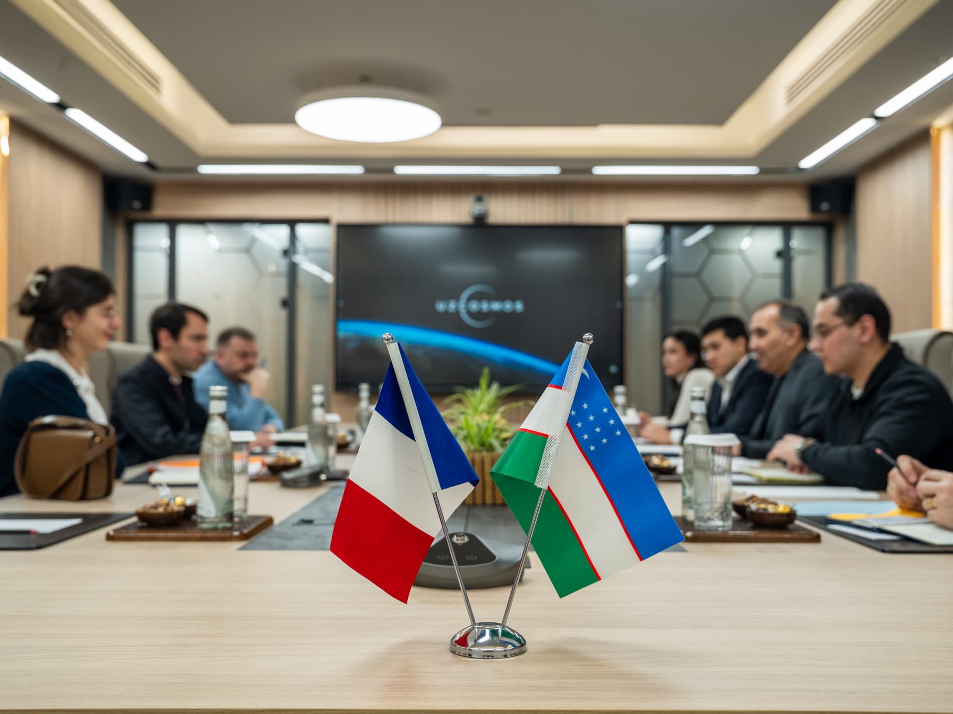 Prospects for cooperation were discussed with the French Ambassador