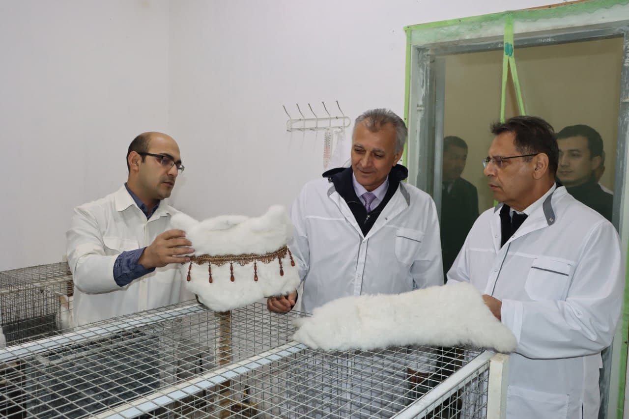 Vazir Samarqand davlat veterinariya meditsinasi, chorvachilik va biotexnologiyalar universitetining o‘quv laboratoriyalari faoliyati bilan tanishdi