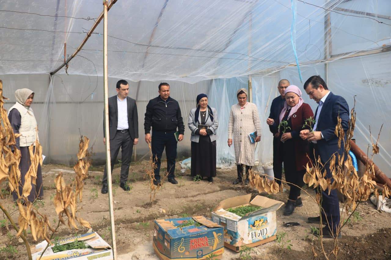 Vazir o‘rinbosari Xonobodda yoshlarni kasb-hunarga yo‘naltirish, tadbirkorlikni kengaytirish va oilaviy daromadlarni oshirish uchun mavjud imkoniyatlar bilan tanishdi