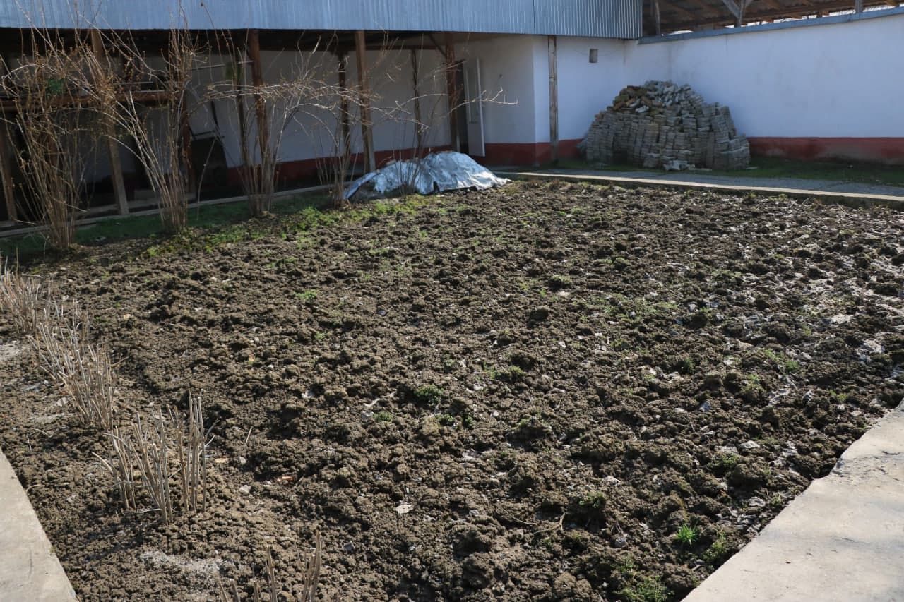 Vazir o‘rinbosari Xonobodda yoshlarni kasb-hunarga yo‘naltirish, tadbirkorlikni kengaytirish va oilaviy daromadlarni oshirish uchun mavjud imkoniyatlar bilan tanishdi