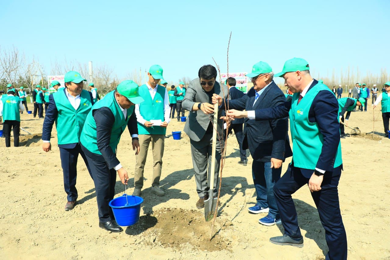 “Yashil makon” umummilliy loyihasi doirasida oliy ta’lim muassasalarida “Ziyolilar bog‘”lari tashkil etildi