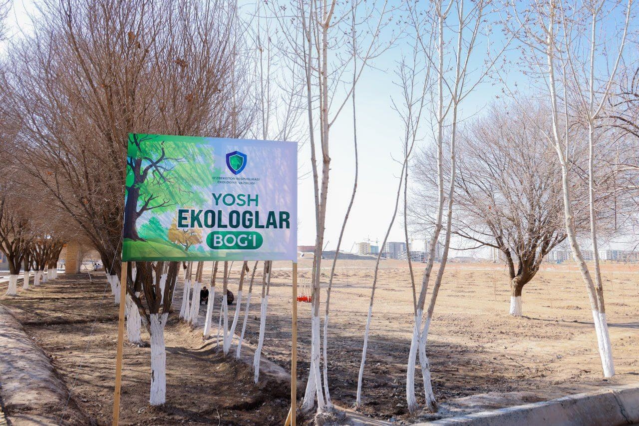 Ekologiya sohasida respublika tanlovi g‘oliblari aniqlandi