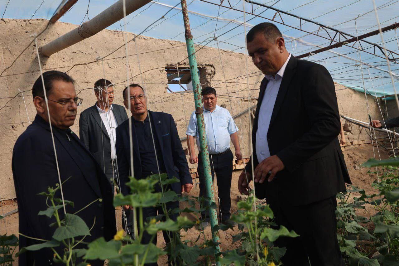 Qoraqalpogʻistonda texnikumlar faoliyati tanqidiy tahlil qilindi