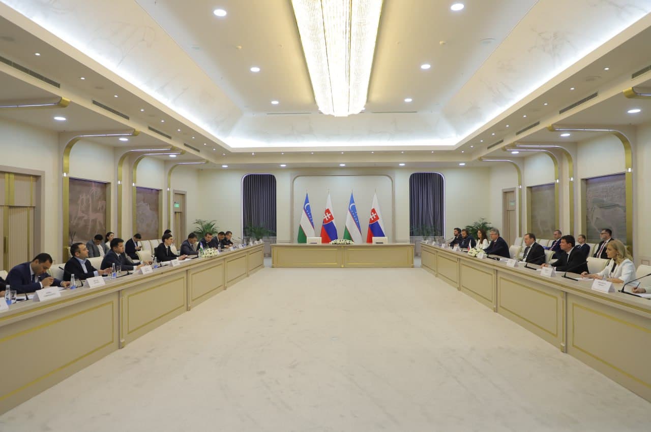 O‘zbekiston va Slovakiya o‘rtasida ta’lim va ilmiy hamkorlik istiqbollari muhokama qilindi