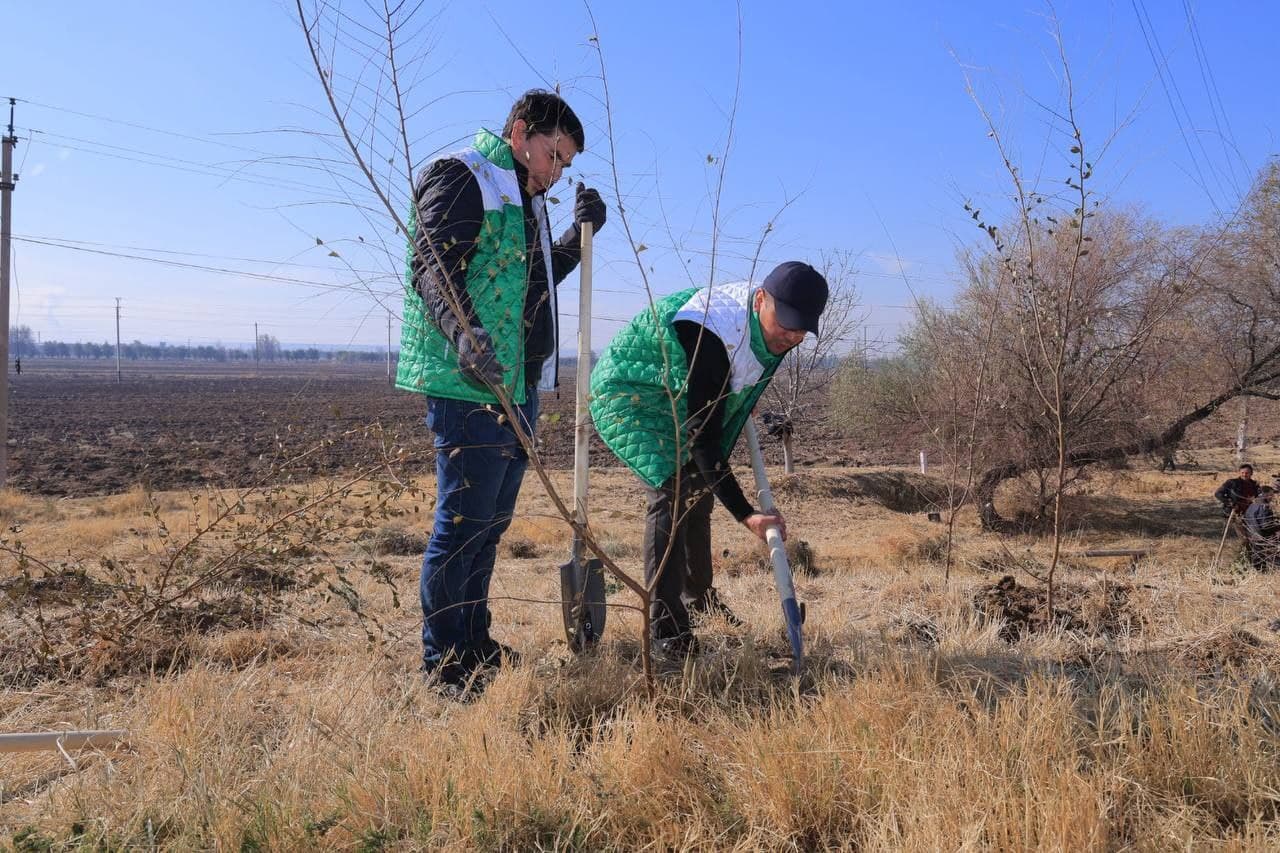 “Yashil makon” loyihasi doirasida: vazirlik jamoasi ekologik hasharda faol ishtirok etdi