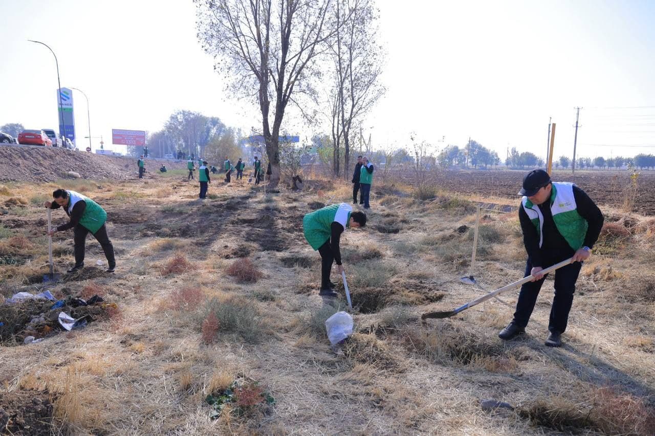 “Yashil makon” loyihasi doirasida: vazirlik jamoasi ekologik hasharda faol ishtirok etdi