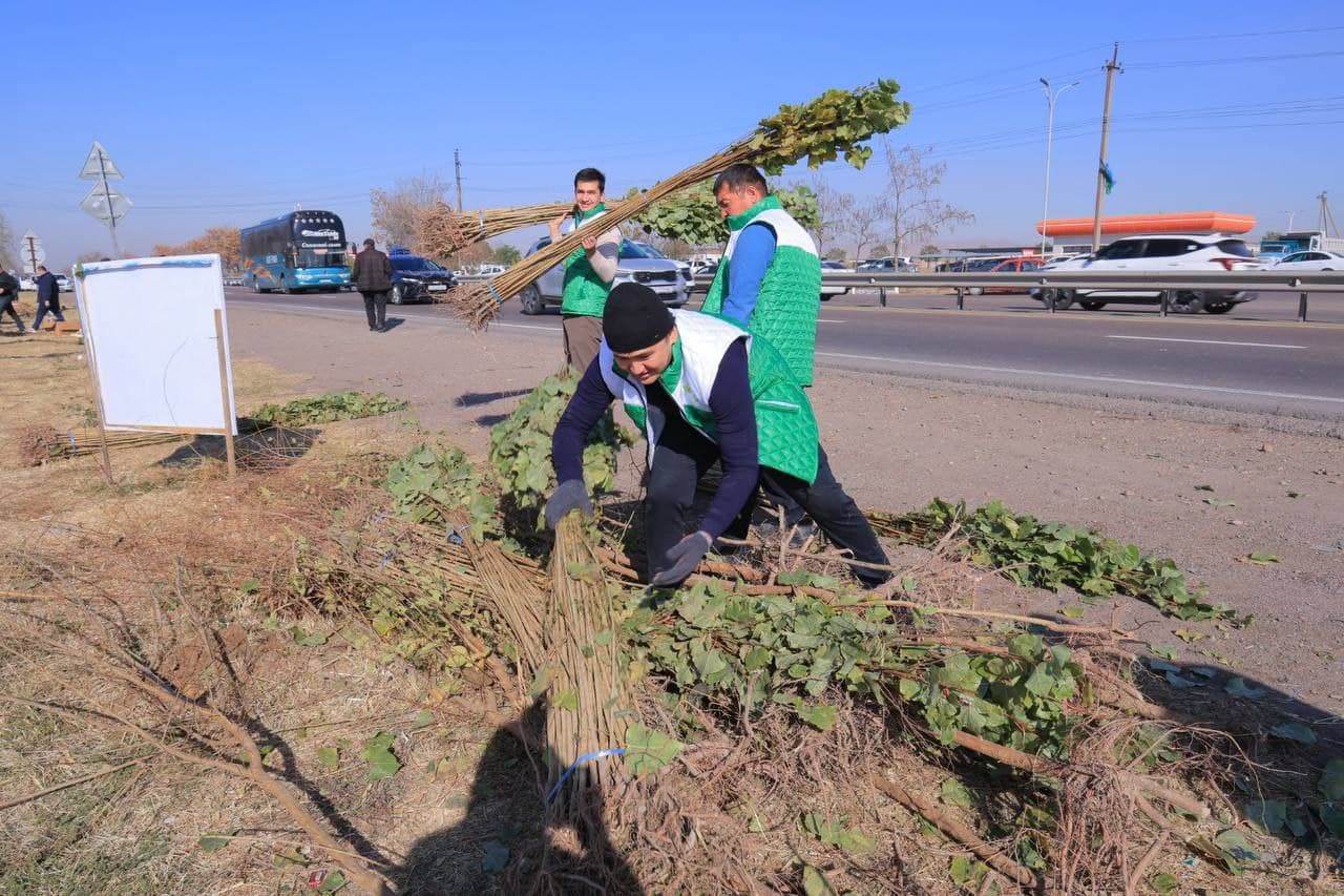 “Yashil makon” loyihasi doirasida: vazirlik jamoasi ekologik hasharda faol ishtirok etdi