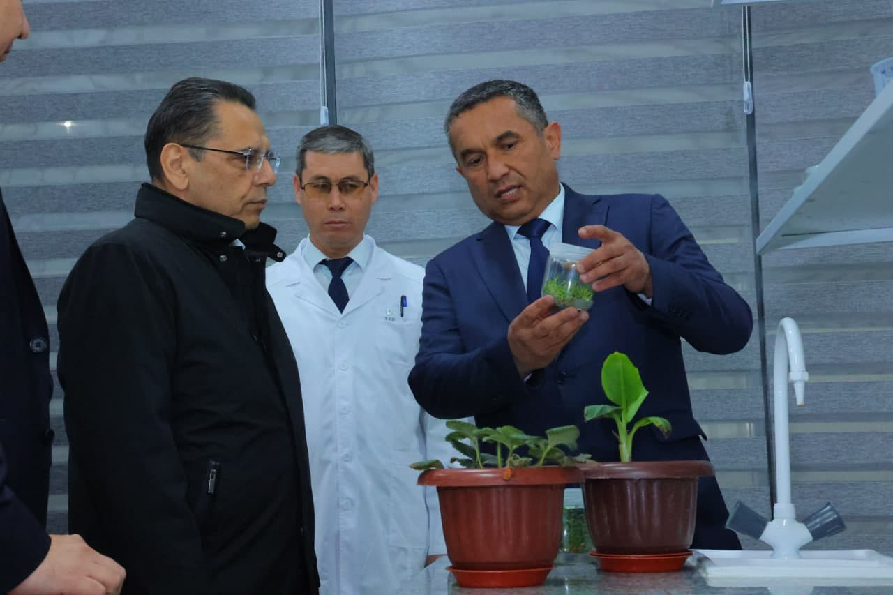 Vazir Termiz davlat universitetida “Yoshlar kuni” tadbirlarida ishtirok etdi