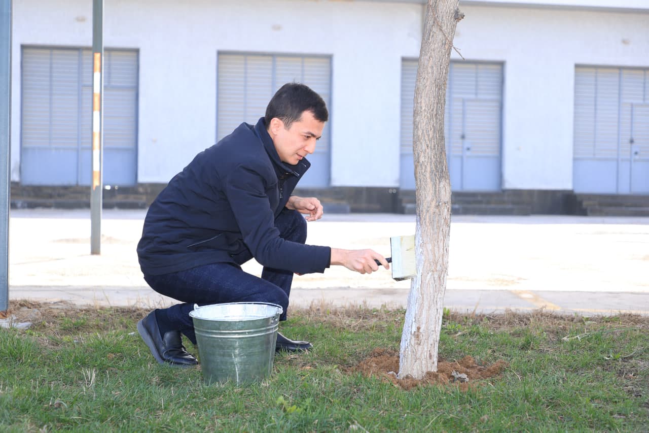 «Благоустройство Родины начинается, прежде всего, с махалли!»