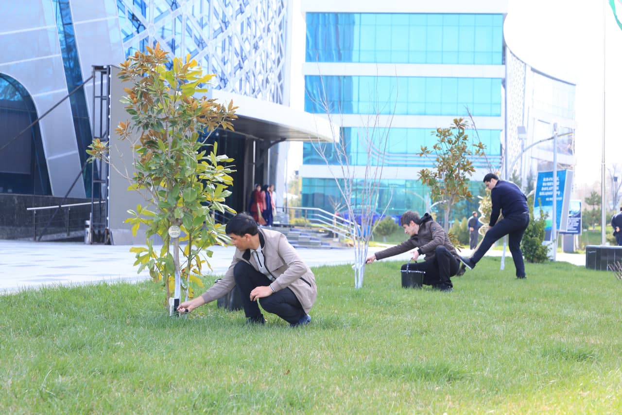 «Благоустройство Родины начинается, прежде всего, с махалли!»