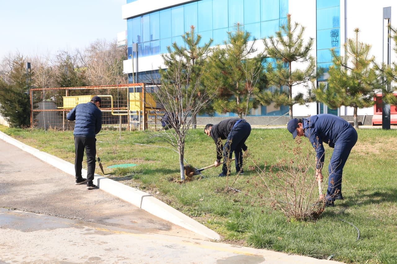 «Благоустройство Родины начинается, прежде всего, с махалли!»