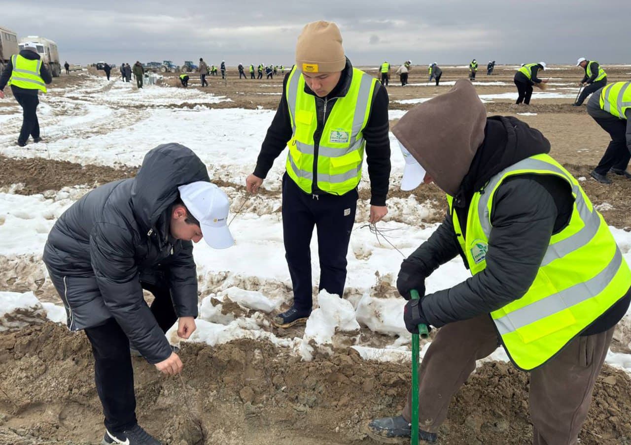Navoiylik yoshlar “Orol taqdiri – kelajak avlod taqdiri” shiori ostida ekologik aksiyada ishtirok etdi