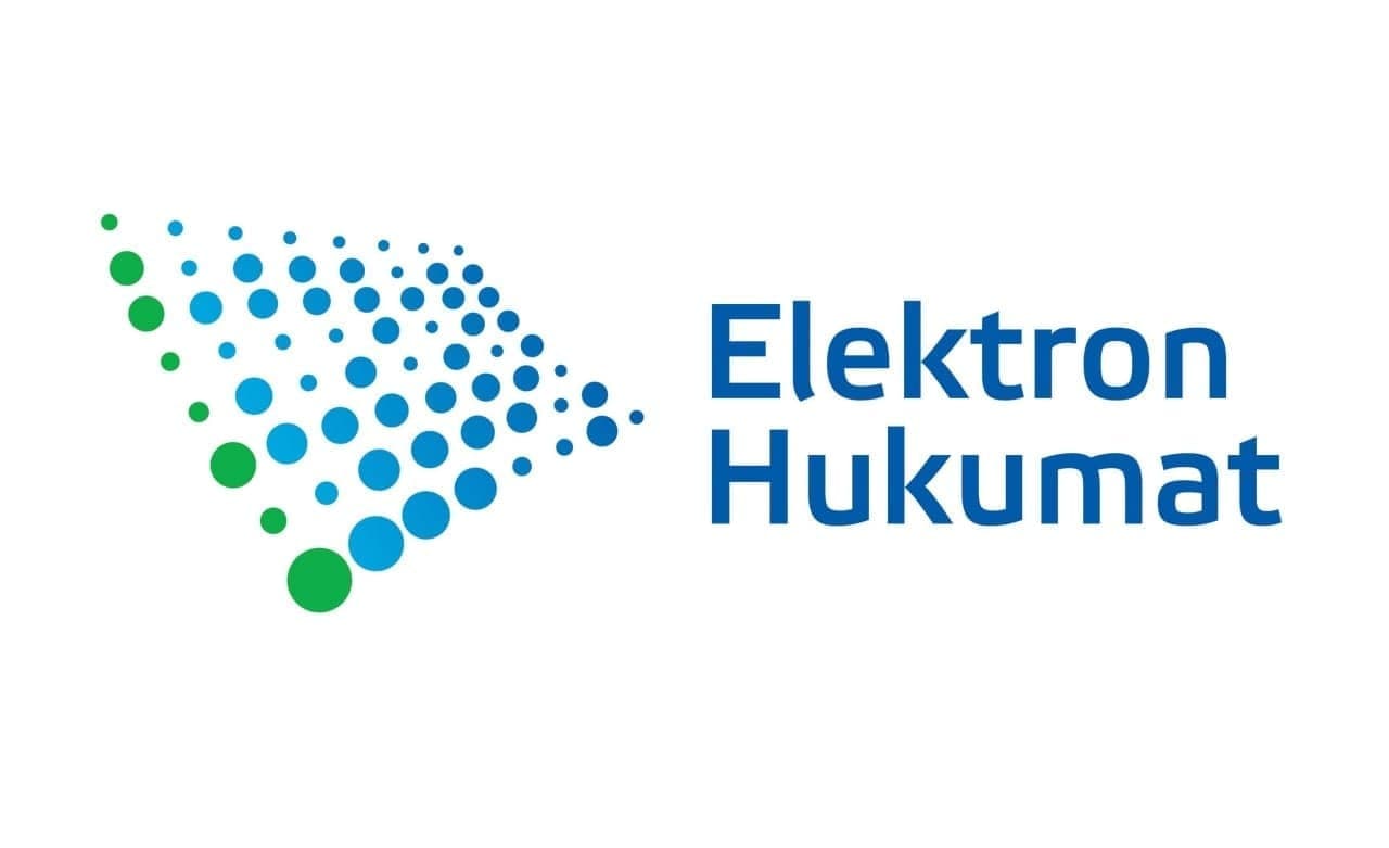 Elektron hukumat